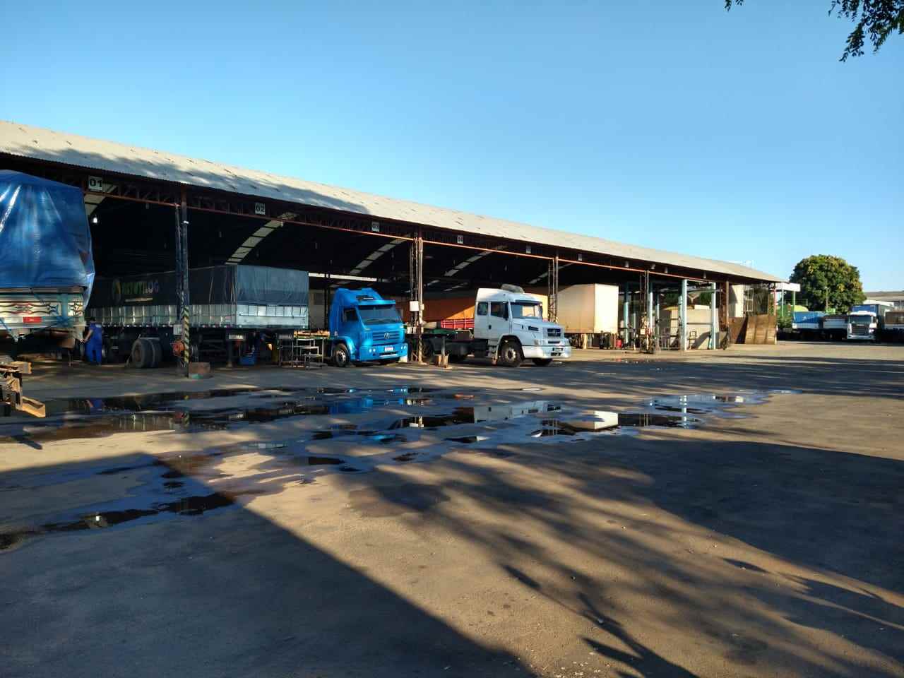 Foto da Loja da Eixoforte - NOMA