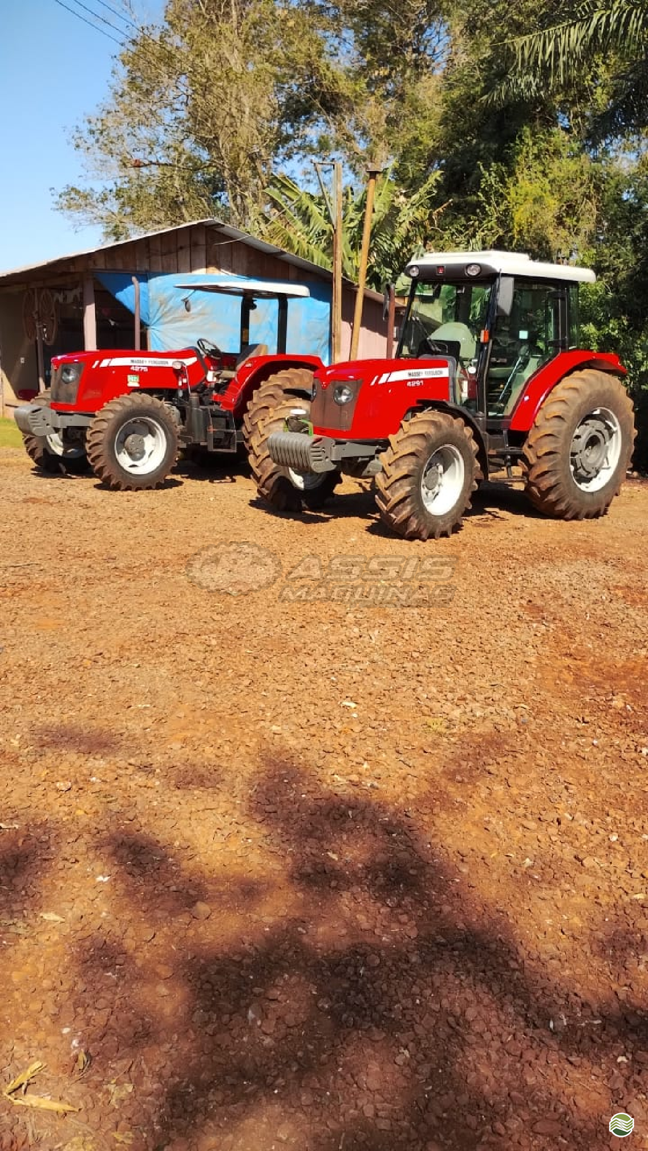 TRATOR MASSEY FERGUSON MF 4291 Tração 4x4 Assis Máquinas ASSIS CHATEAUBRIAND PARANÁ PR