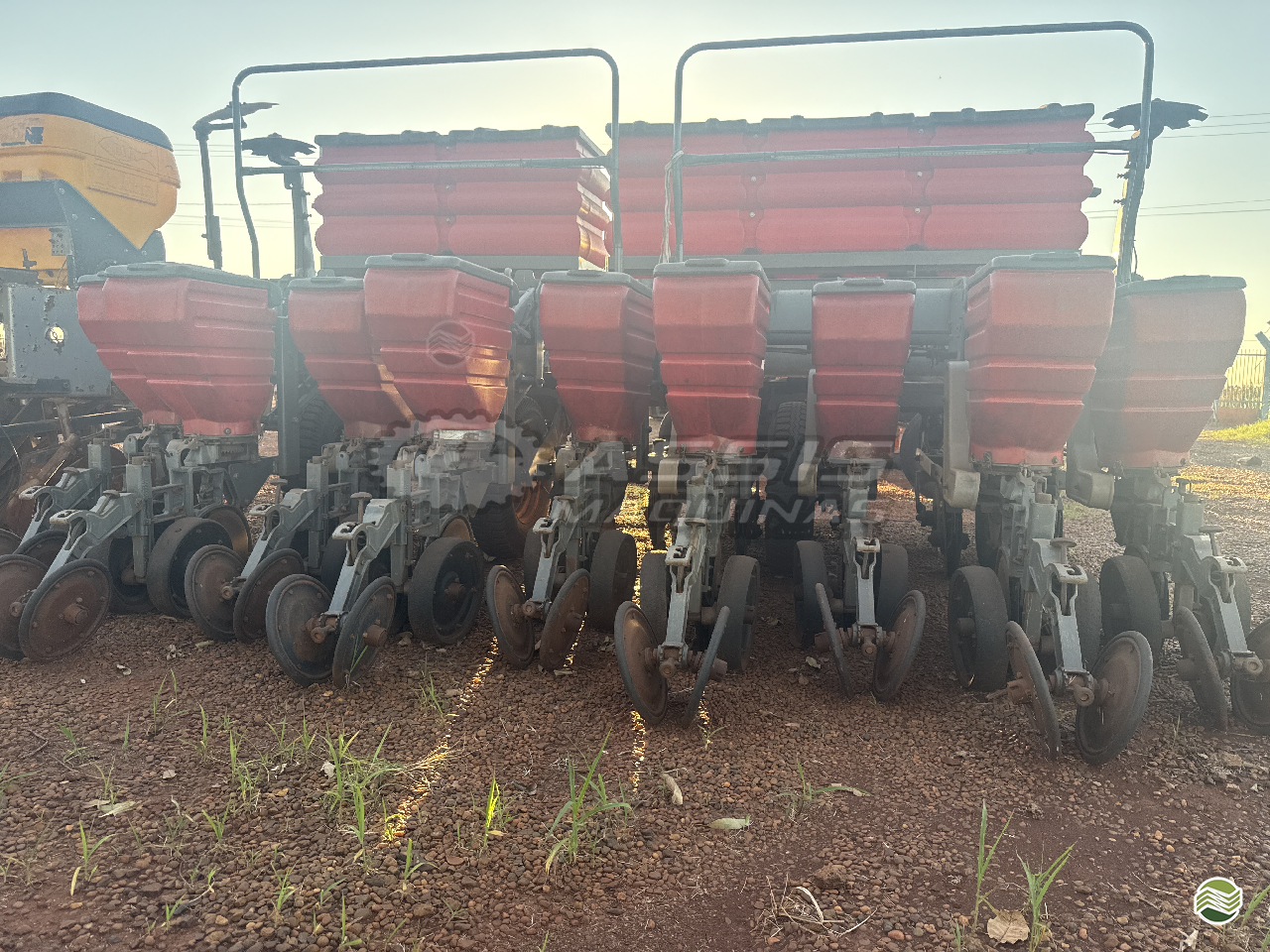 PLANTADEIRA MASSEY FERGUSON MF 509 Assis Máquinas ASSIS CHATEAUBRIAND PARANÁ PR
