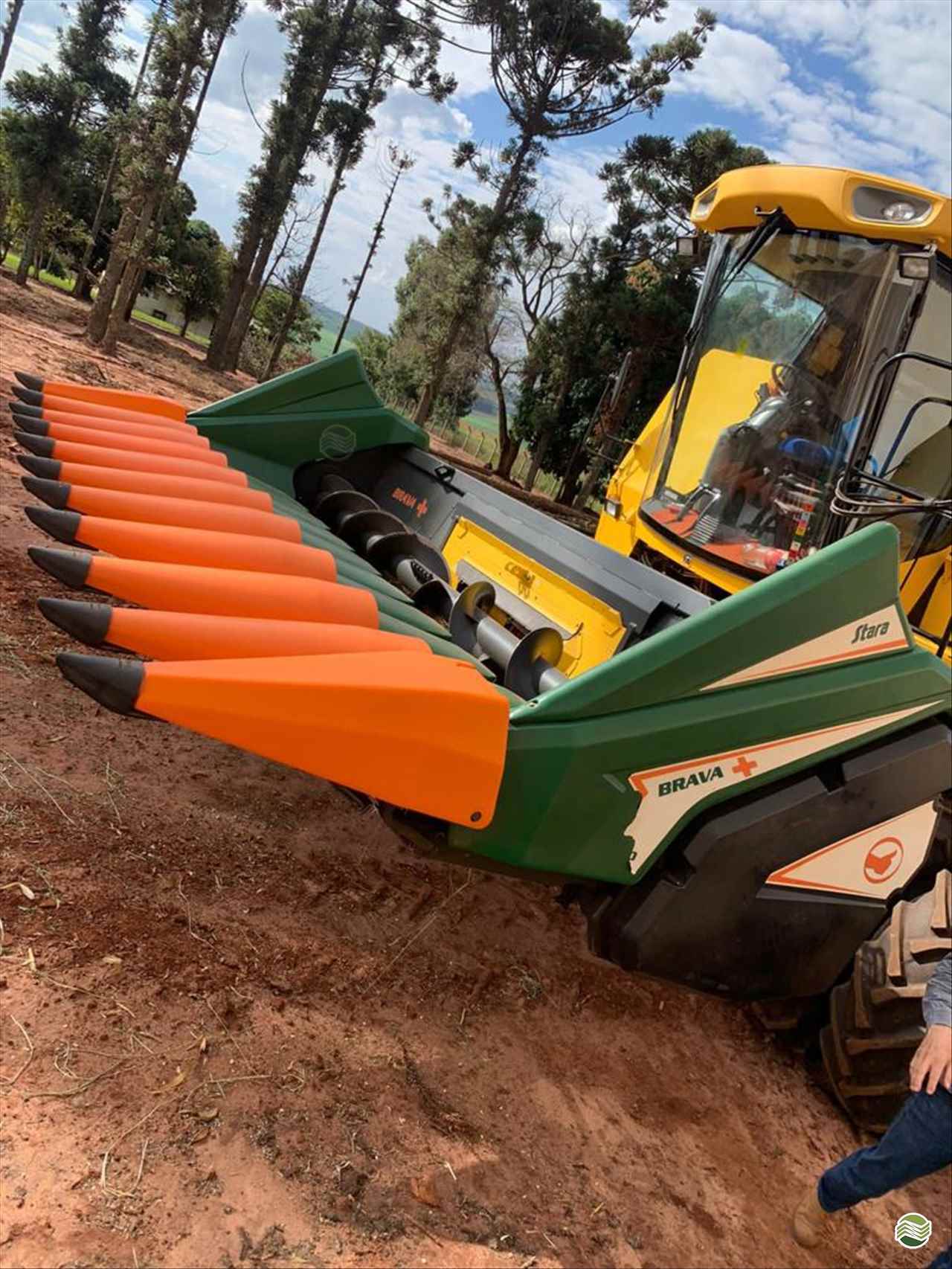 PLATAFORMA COLHEITADEIRA STARA BRAVA 4530 Rural Vendas® TERRA ROXA PARANÁ PR