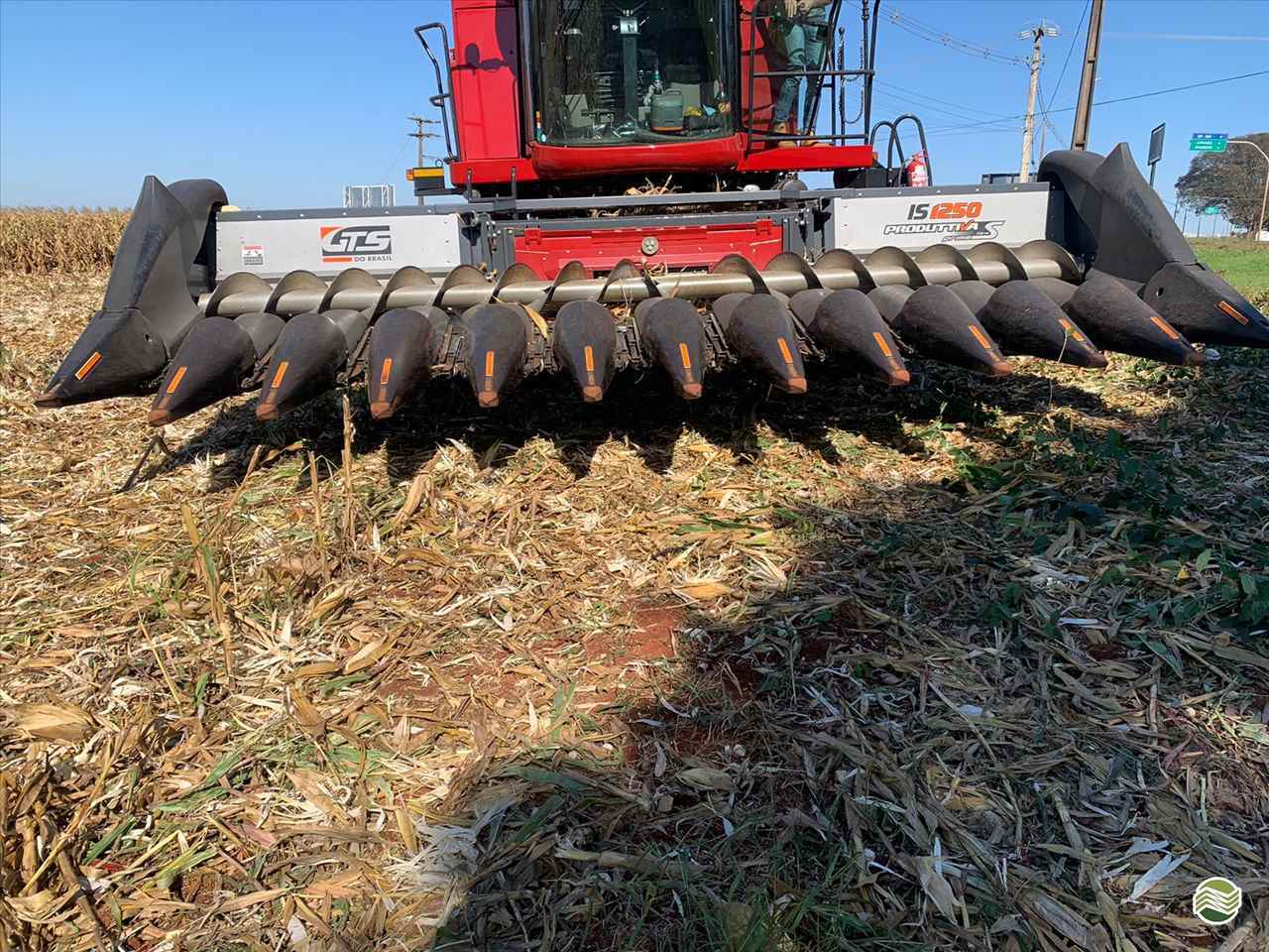 PLATAFORMA COLHEITADEIRA GTS PRODUTTIVA 1250 Rural Vendas® TERRA ROXA PARANÁ PR