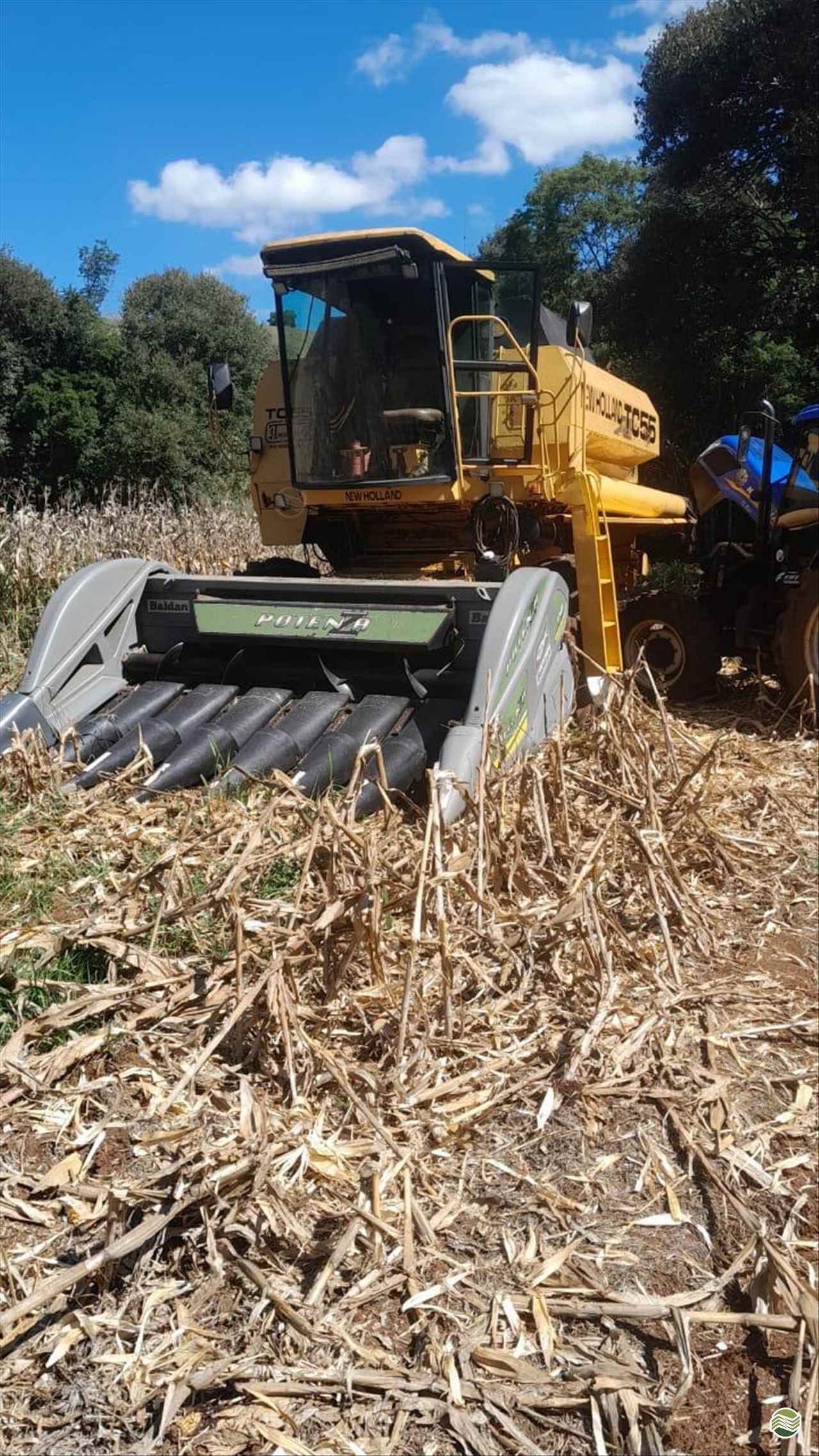 COLHEITADEIRA NEW HOLLAND TC 55 Rural Vendas® TERRA ROXA PARANÁ PR