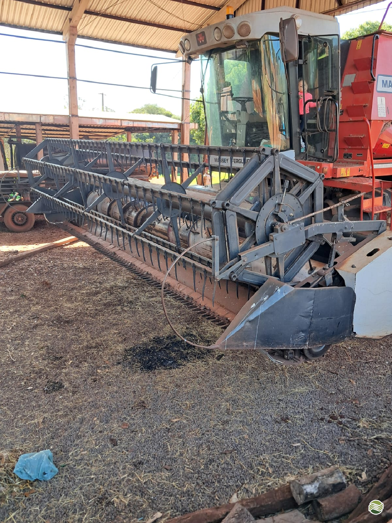 PLATAFORMA COLHEITADEIRA MASSEY FERGUSON HIPERFLEX Rural Vendas® TERRA ROXA PARANÁ PR