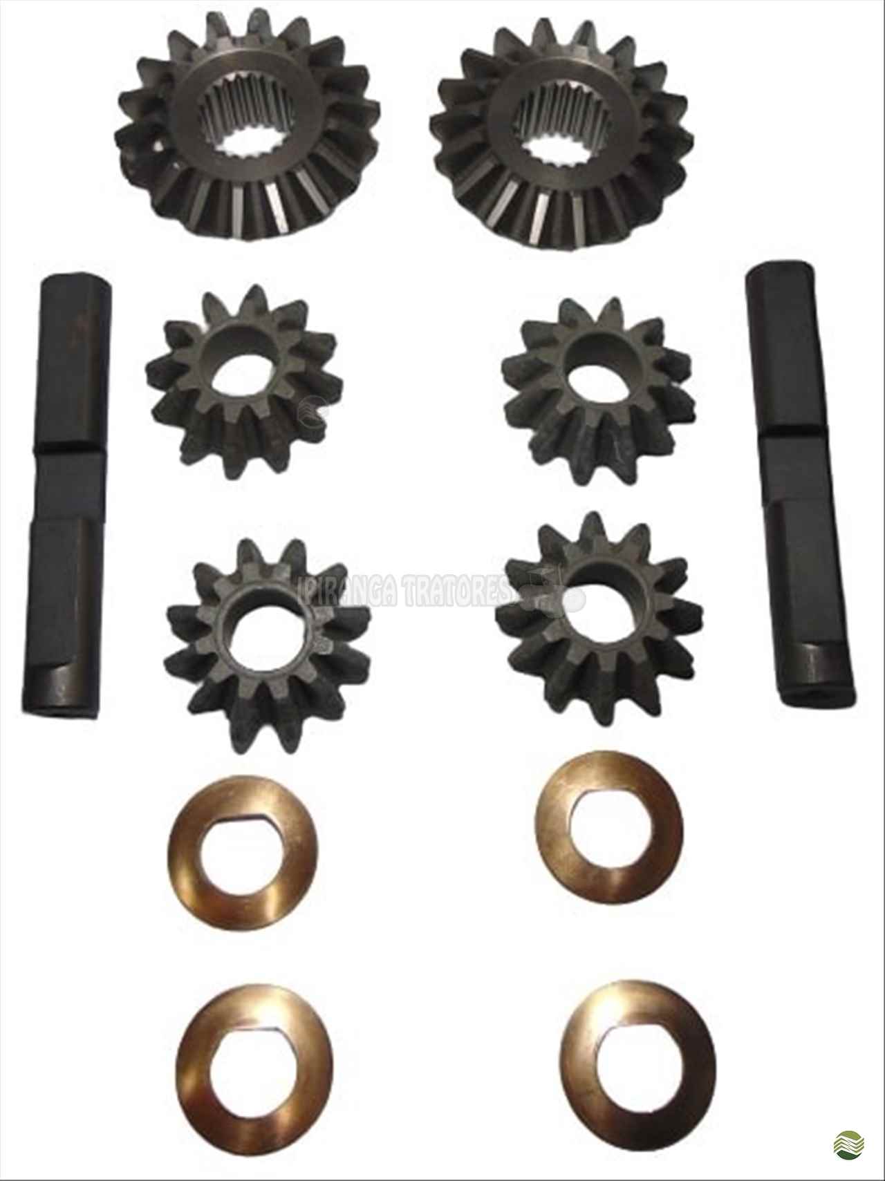 MIOLO CXSATELITE COMPLETA 4X4 CARRARO CARRARO 044210 / CAR146411