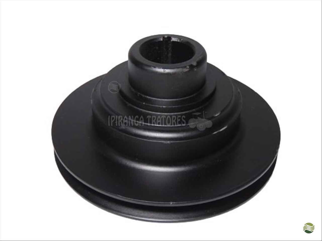 POLIA DO MOTOR 4203 MF 65R 31148676 