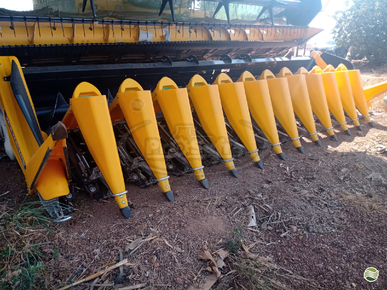 PLATAFORMA COLHEITADEIRA NEW HOLLAND MILHO Prosafra Tratores ÁGUA BOA MATO GROSSO MT