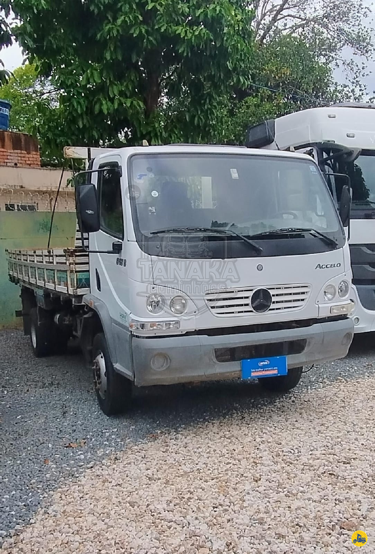 MB 915 de Tanaka Caminhões