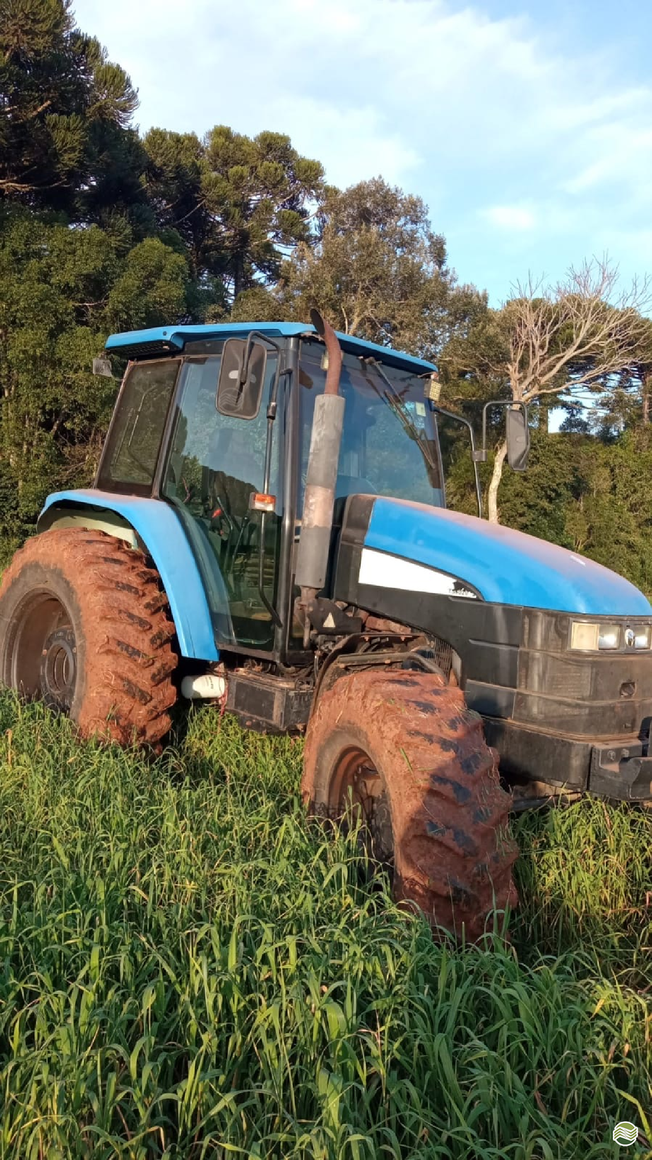 NEW TS 6020 de Rafael Souza - Tudo Para Fazendas