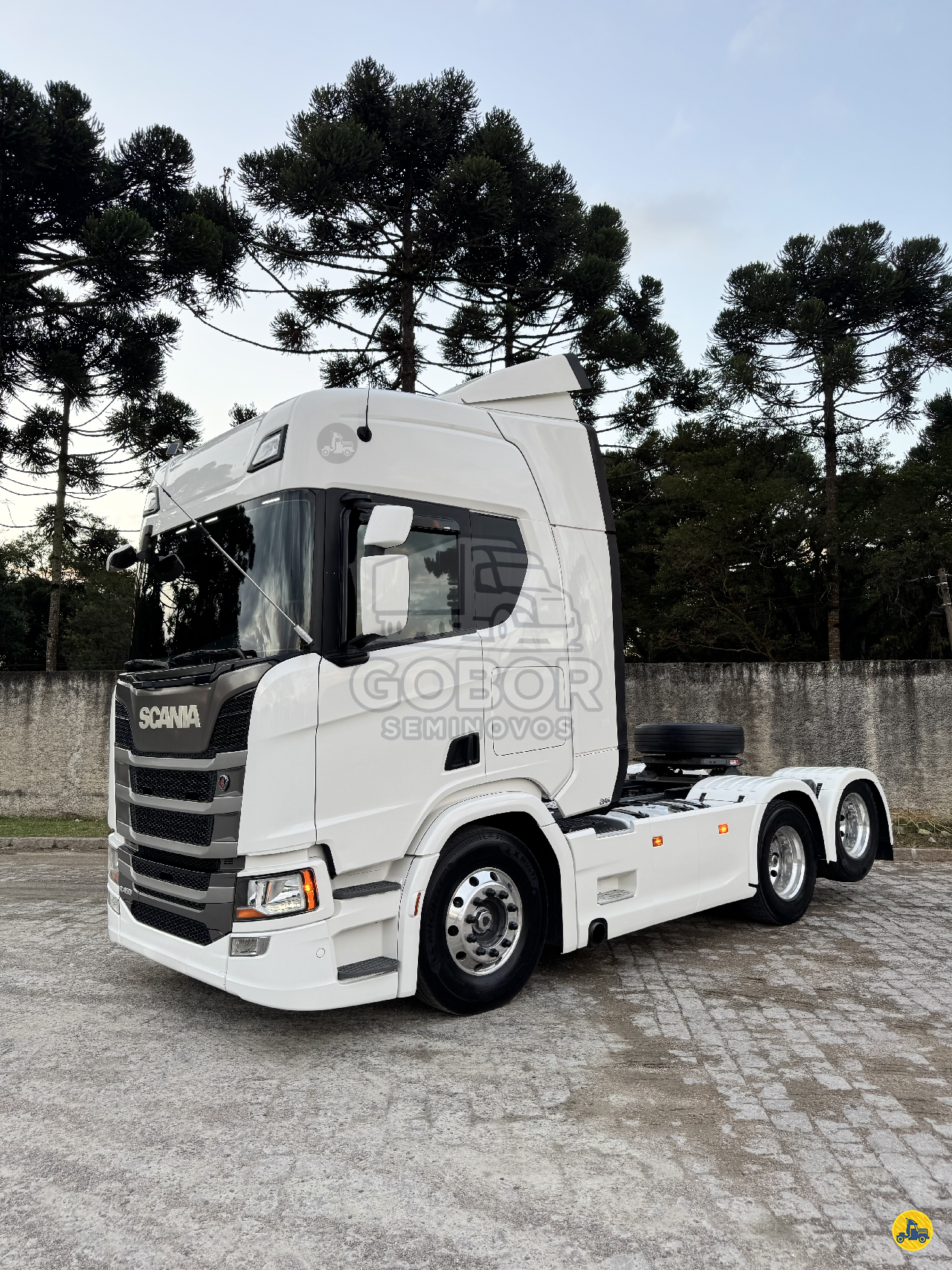 CAMINHAO SCANIA SCANIA R450 Cavalo Mecânico Cavalo 6x2 Gobor Seminovos CAMPO LARGO PARANÁ PR
