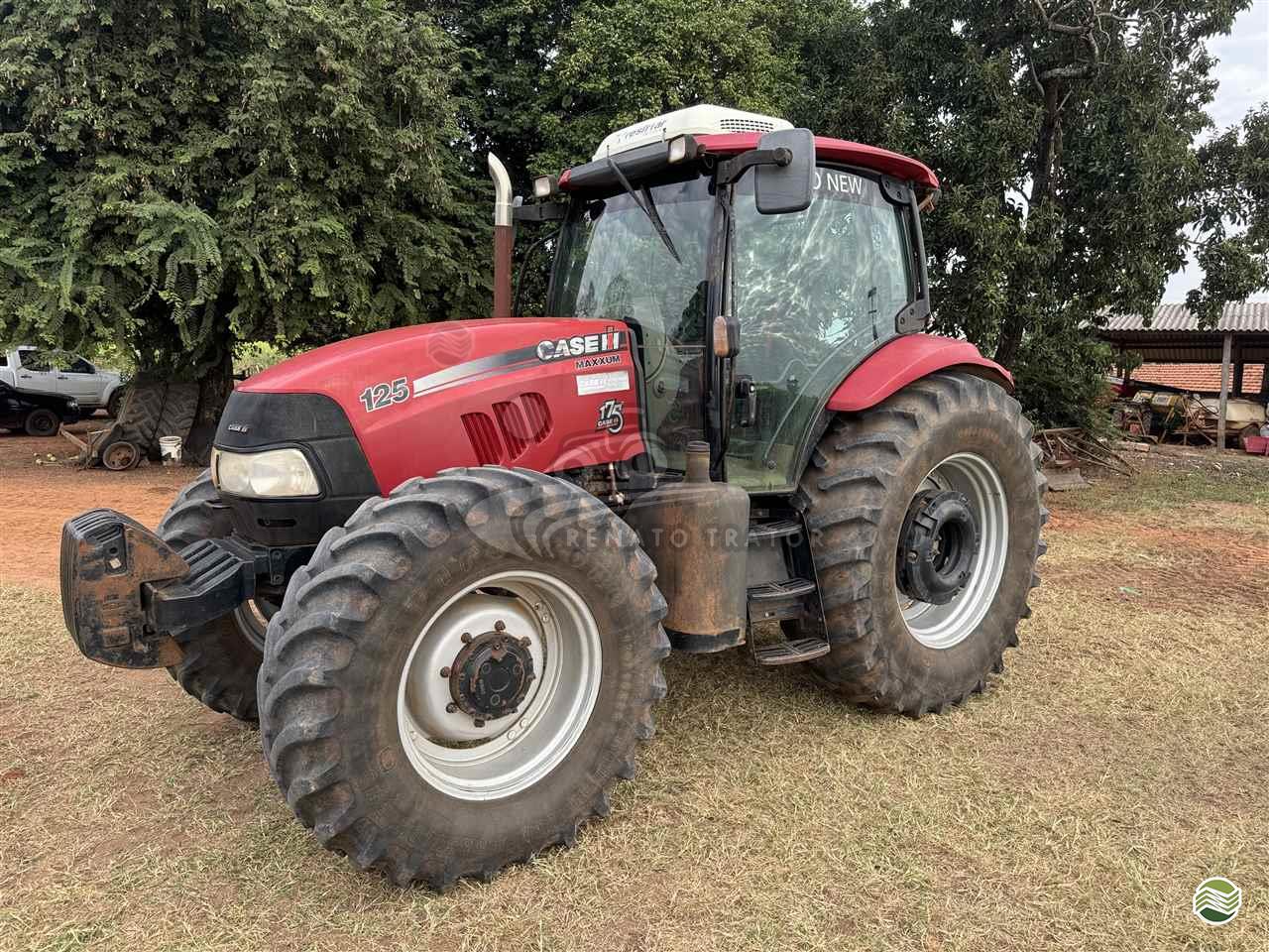 TRATOR CASE MAXXUM 125 Tração 4x4 Renato Trator IBITINGA SÃO PAULO SP