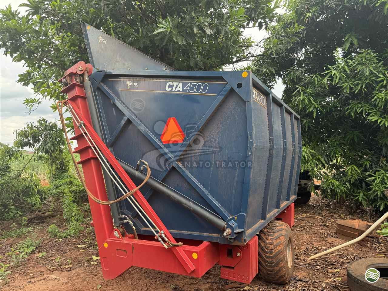 TRANSBORDO DE AMENDOIN de Renato Trator