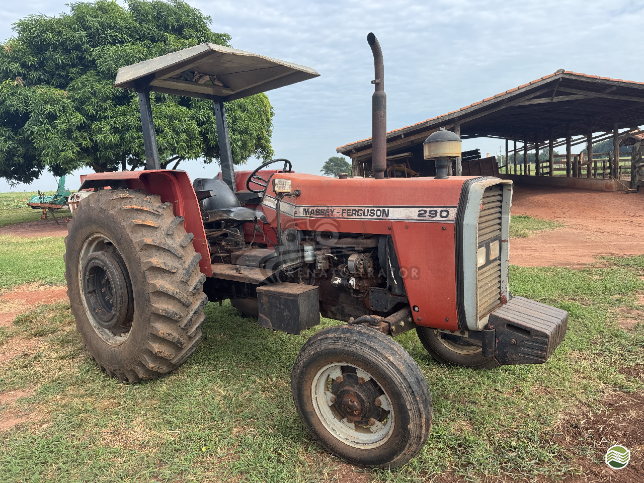 TRATOR MASSEY FERGUSON MF 290 Tração 4x2 Renato Trator IBITINGA SÃO PAULO SP