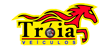 Troia Veiculos  logo