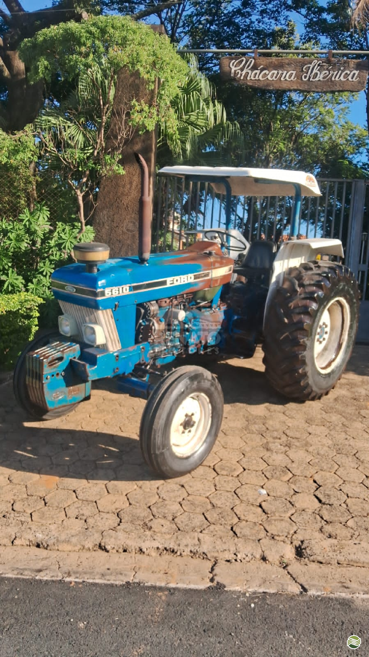 TRATOR FORD FORD 5610 Tração 4x2 Renato Tratores SERTAOZINHO SÃO PAULO SP