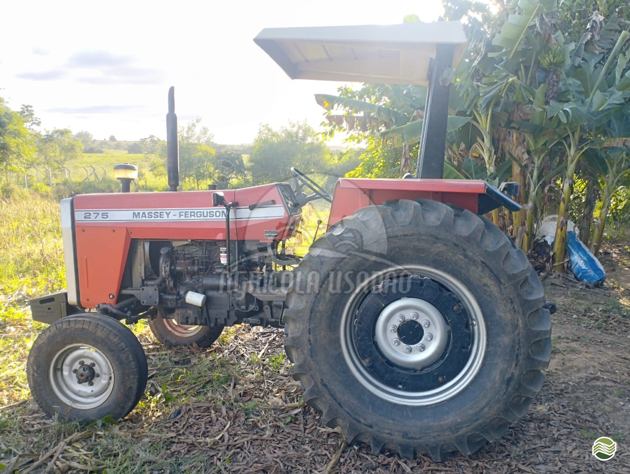 TRATOR MASSEY FERGUSON MF 297 Tração 4x2 Agrícola Usadão TAQUARITUBA SÃO PAULO SP