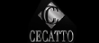 Cecatto Transportes logo
