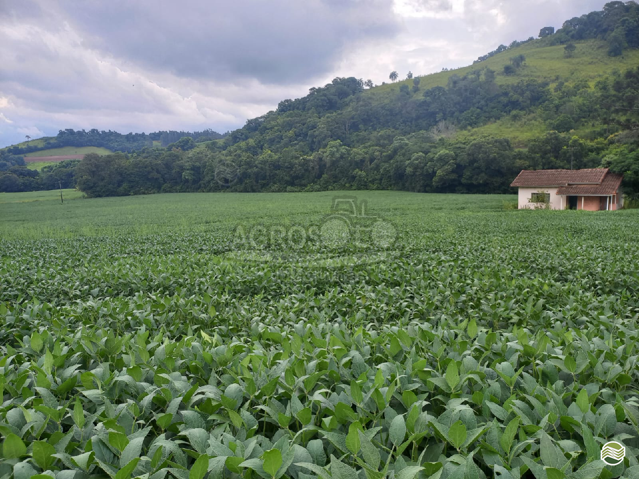 IMOVEIS IMÓVEIS TERRENO Agrosolo Máquinas CHOPINZINHO PARANÁ PR