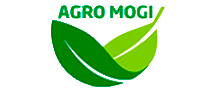 Logo Rodapé