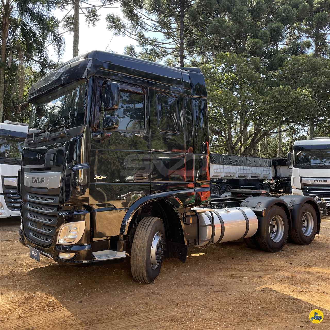 CAMINHAO DAF DAF XF FTT 530 Cavalo Mecânico Cavalo 6x4 SVD Seminovos CURITIBA PARANÁ PR