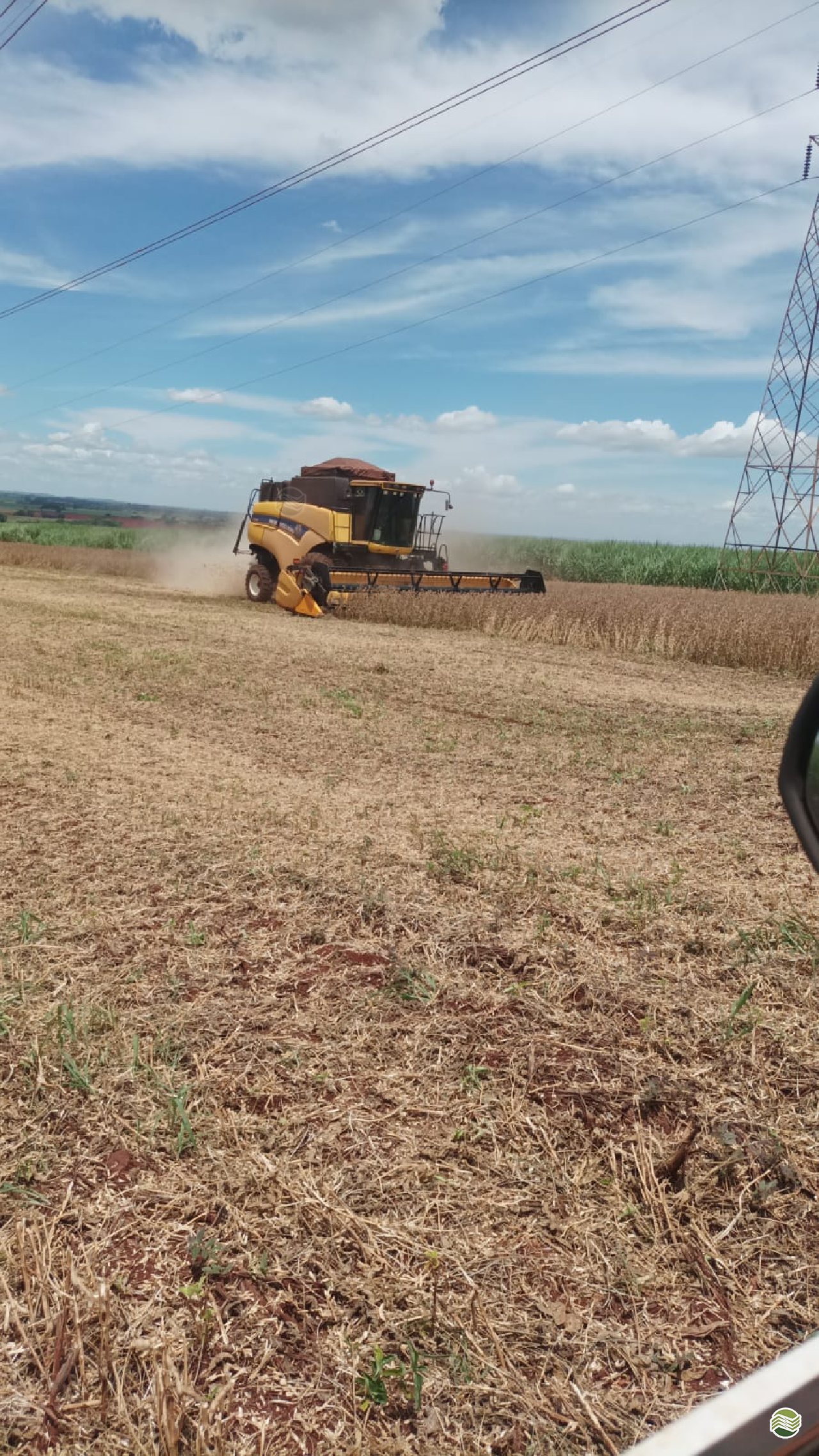 COLHEITADEIRA NEW HOLLAND CR 5080 LF Máquinas Agrícolas SP MIGUELOPOLIS SÃO PAULO SP