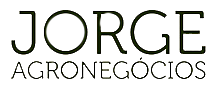 Logo Rodapé