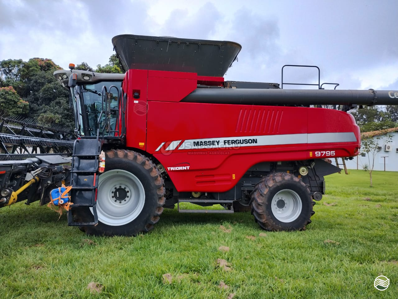 COLHEITADEIRA MASSEY FERGUSON MF 9795 Usado Agro Máquinas Agrícolas RONDONOPOLIS MATO GROSSO MT