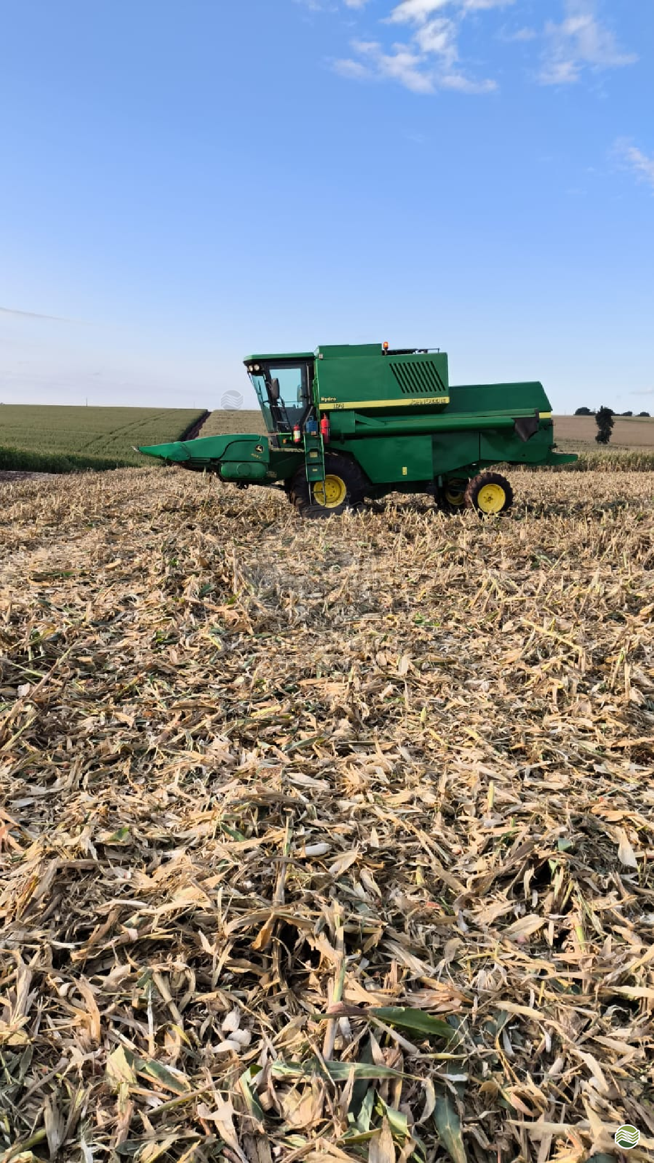 COLHEITADEIRA JOHN DEERE JOHN DEERE 1175 Vicente Máquinas Agrícolas CASCAVEL PARANÁ PR