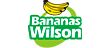 Bananas Wilson Transporte e Logística logo