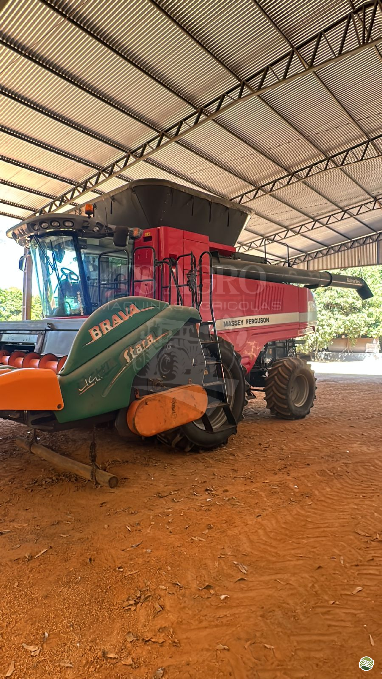 COLHEITADEIRA MASSEY FERGUSON MF 9895 TS Agro Máquinas Agrícolas PRIMAVERA DO LESTE MATO GROSSO MT